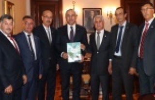 Yerli muz üreticisine iyi haber