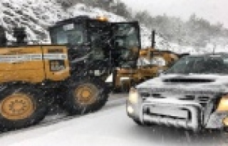 Alanya'da kardan kapanan yollar açıldı