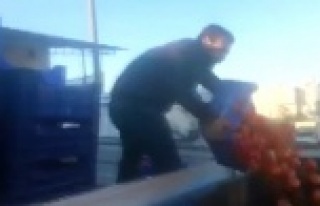 Çiftçiler domateslerini çöpe dökmek için sıraya...