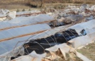 Fırtınanın Alanya'ya faturası belli oldu