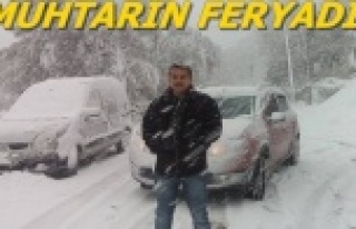 'Karda mahsur kaldık, kurtarın'