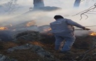 Yangına belediye personeli müdahale etti