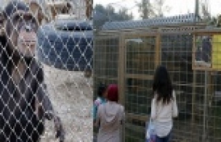 Alanya'da dişlerini sökmüşler