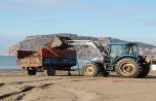 ALTİD sahilleri temizledi