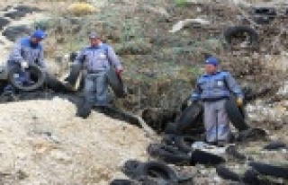 Büyükşehir sinek avında