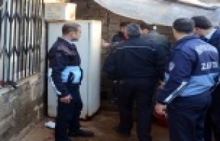 Büyükşehir’den  midye operasyonu