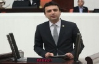 'Erdoğan'dan diktatör olmaz'