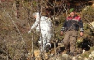 Parçalanmış erkek cesedi bulundu