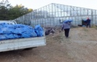 Seralara kamyon kamyon kömür taşıyorlar