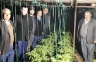 Türkdoğan çifçilerle don nöbetinde