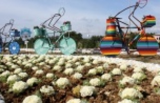 Alanya'ya çok yakıştılar