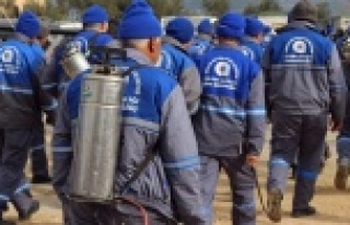 Alanya'yı sineksiz bir yaz bekliyor