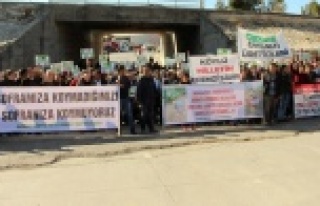 Çiftçilerden hormon isyanı