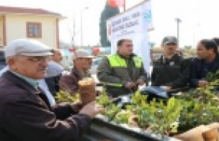 Gazipaşa’da 6 bin 900 fidan dağıtıldı