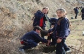 Hamdullah Emin Paşa'ya vefa