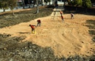 O parka belediye ayarı