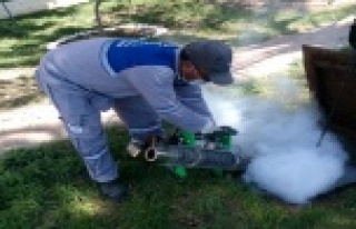 Sinekle hem kara, hem denizden mücadele