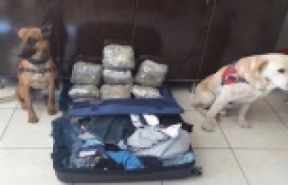 Yolcu otobüsüyle uyuşturucu sevkiyatı jandarmaya...