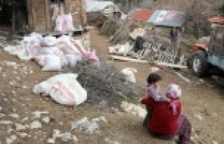 22 evin zarar gördüğü heyelanda 2 oğlak telef...