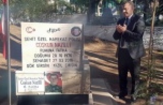 Alanya şehitlerini yad edecek