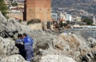 Alanya'yı sineksiz bir yaz bekliyor