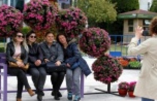 Antalya'nın en güzel ağacı seçiliyor