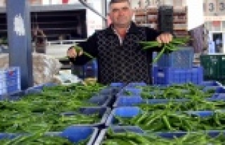 Ateş pahası! Biber ete kafa tutuyor