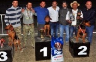 Av köpekleri kıyasıya yarıştı