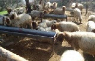 Bakanlıktan köylüye 30 milyon kredi