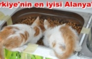 Can dostlarımıza dört dörtlük hizmet