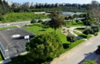 En güzel ağaç seçiliyor