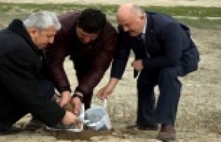 Kazakistan'dan Erdoğan'a toprak aldılar