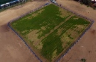 Kent merkezine er meydanı