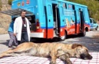 Mobil klinik aracıyla hizmet ayağmıza geliyor