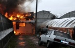 Sera evi küle döndü