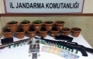 Yeni nesil zehir operasyonu