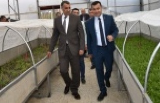 Yücel ve Harputlu ilk tohumları attılar