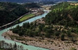 Alanya'da şok kaza! Alara çayına uçtu