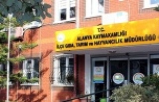 Alanya esnafına önemli duyuru