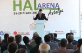 Alanya toptancı halinin maliyeti dudak uçuklattı