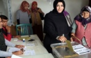 Çelik oyunu babaannesiyle birlikte kullandı