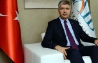 Domates ihracatında rekor artış