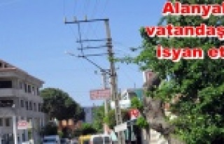 "Elektrik telleri yer altına alınsın"