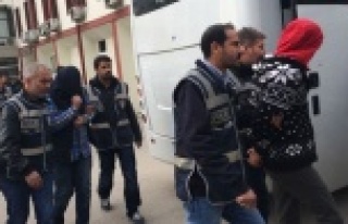 Organize suç örgütü çökertildi