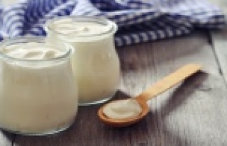 Probiyotik besinler ile metabolizmanızı hızlandırın