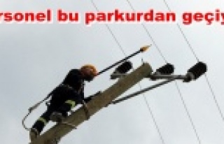 Survivor değil AEDAŞ