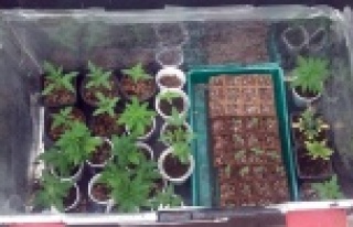 Uyuşturucuya polis darbesi