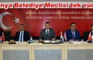 Yücel'in 2016 faaliyetlerine onay