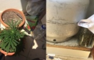 Alanya'da şok uyuşturucu operasyonu