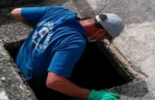 Alanya sineksiz bir yaz geçirecek